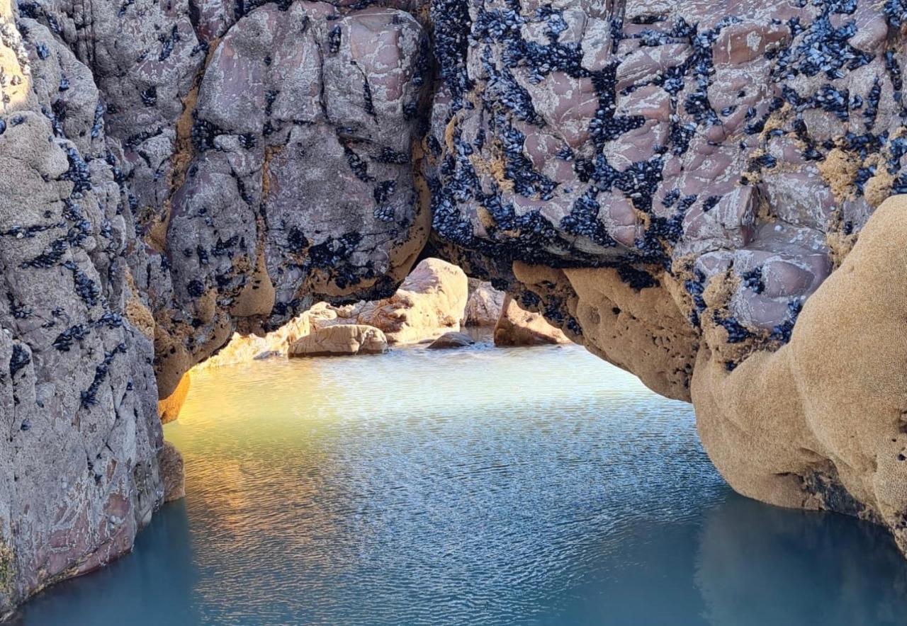 Rockpool - ביוד מראה חיצוני תמונה